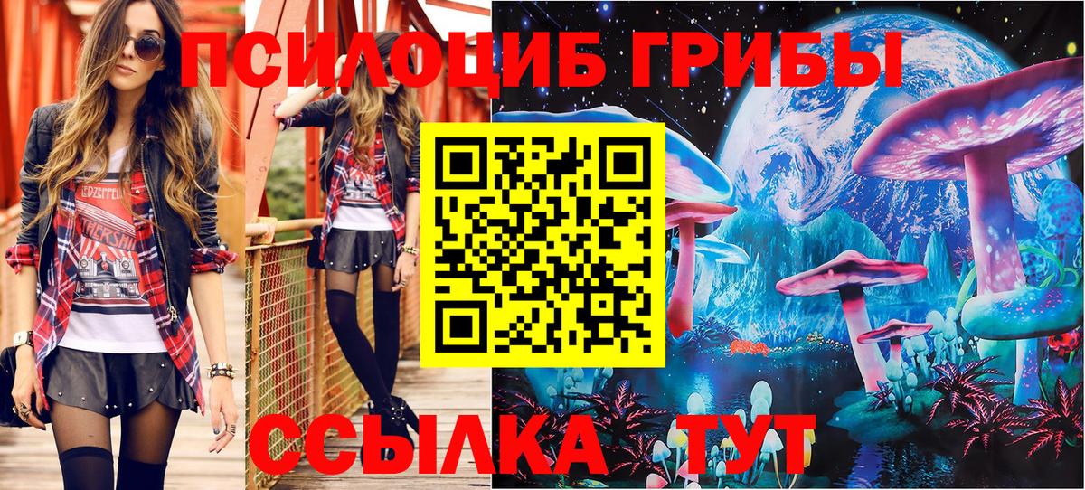 Вольск  Галлюциногенные грибы прущие грибы  Вход с VPN 