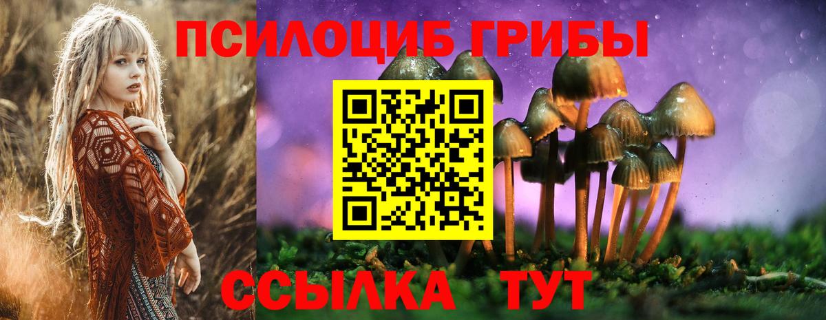 Псилоцибиновые грибы мухоморы Вольск